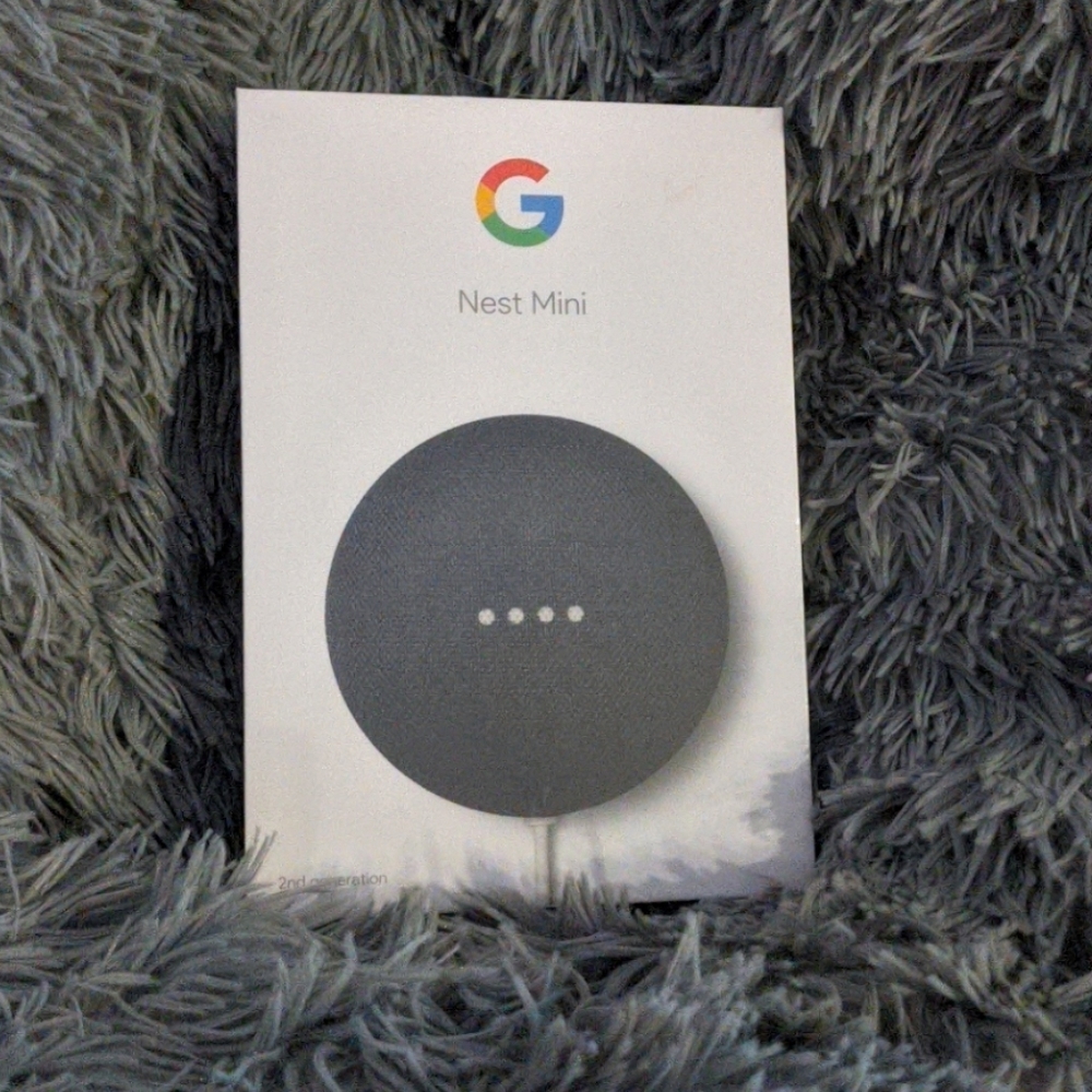 Google Nest Mini